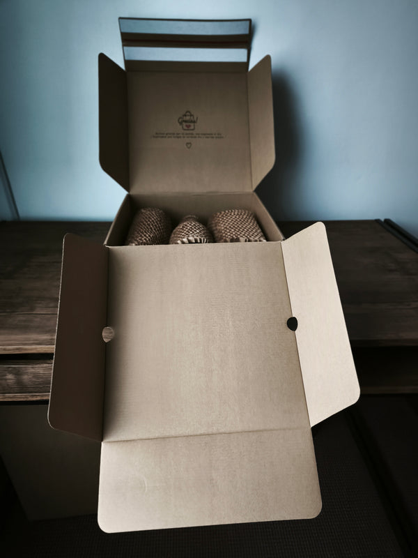 Caja E-commerce (Premium)